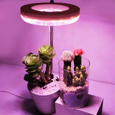 LED Plant Grow Light 10W Full Spectrum Smart Plant Light USB Ring Head> L7 • £18.90